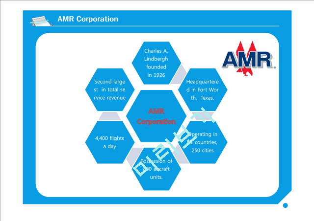 항공산업분석(AMR CORPOTATION & US AIRWAYS)   (8 )